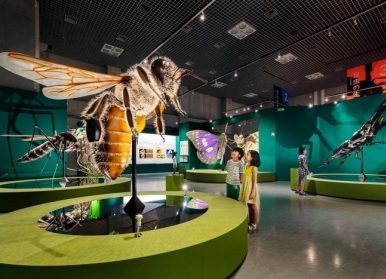 環(huán)保展廳設(shè)計如何才能做好？設(shè)計3步驟詳述！