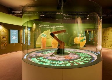 環(huán)保展廳設(shè)計理念，做環(huán)保展廳需要了解的常識！