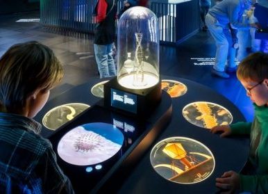 科普館展廳設(shè)計(jì)，思路和設(shè)計(jì)方案分享