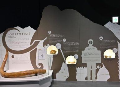 日本展廳設計注意事項有哪些？文中詳解一看便知