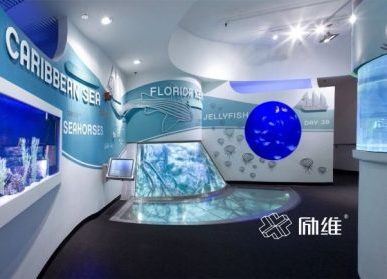 互聯(lián)網(wǎng)多媒體技術(shù)，在展廳中如何應(yīng)用？