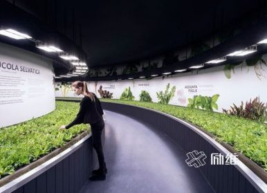 農(nóng)業(yè)展廳設(shè)計，做法和思路詳解