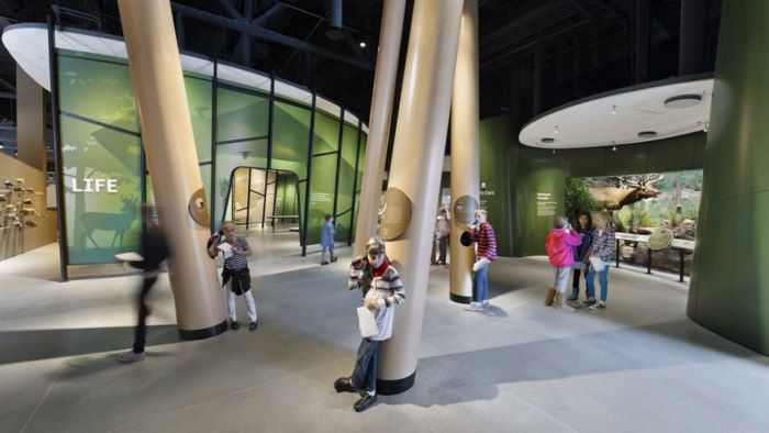 環(huán)保展廳設(shè)計如何突出主題，如何科普環(huán)保知識？