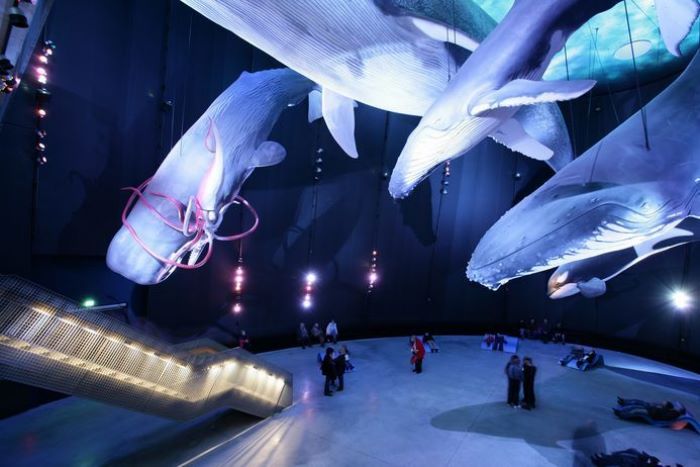 品牌展廳設(shè)計(jì)，有哪些特點(diǎn)，如何凸顯特色